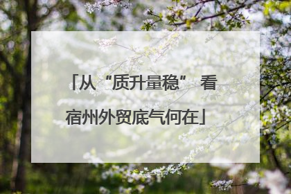 从“质升量稳” 看宿州外贸底气何在